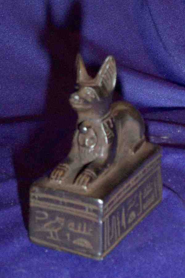 SMALL ANUBIS ON BOX