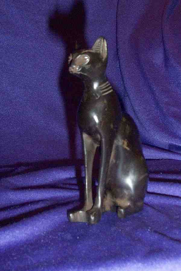 MEDIUM BAST IN CAT FORM